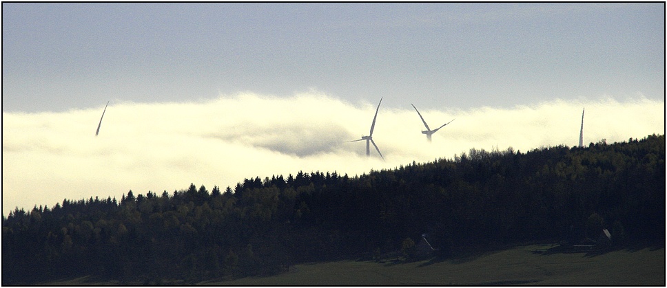 Gorillas im Nebel