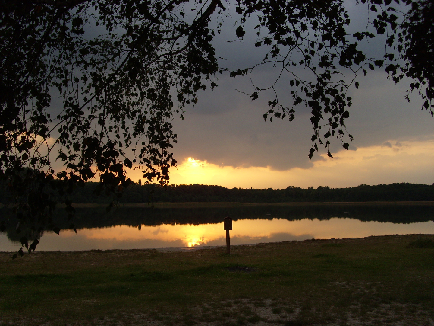 Gorinsee - Brandenburg 2007 (2 von 4)