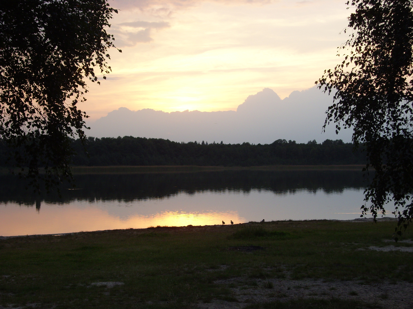 Gorinsee - Brandenburg 2007 (3 von 4)