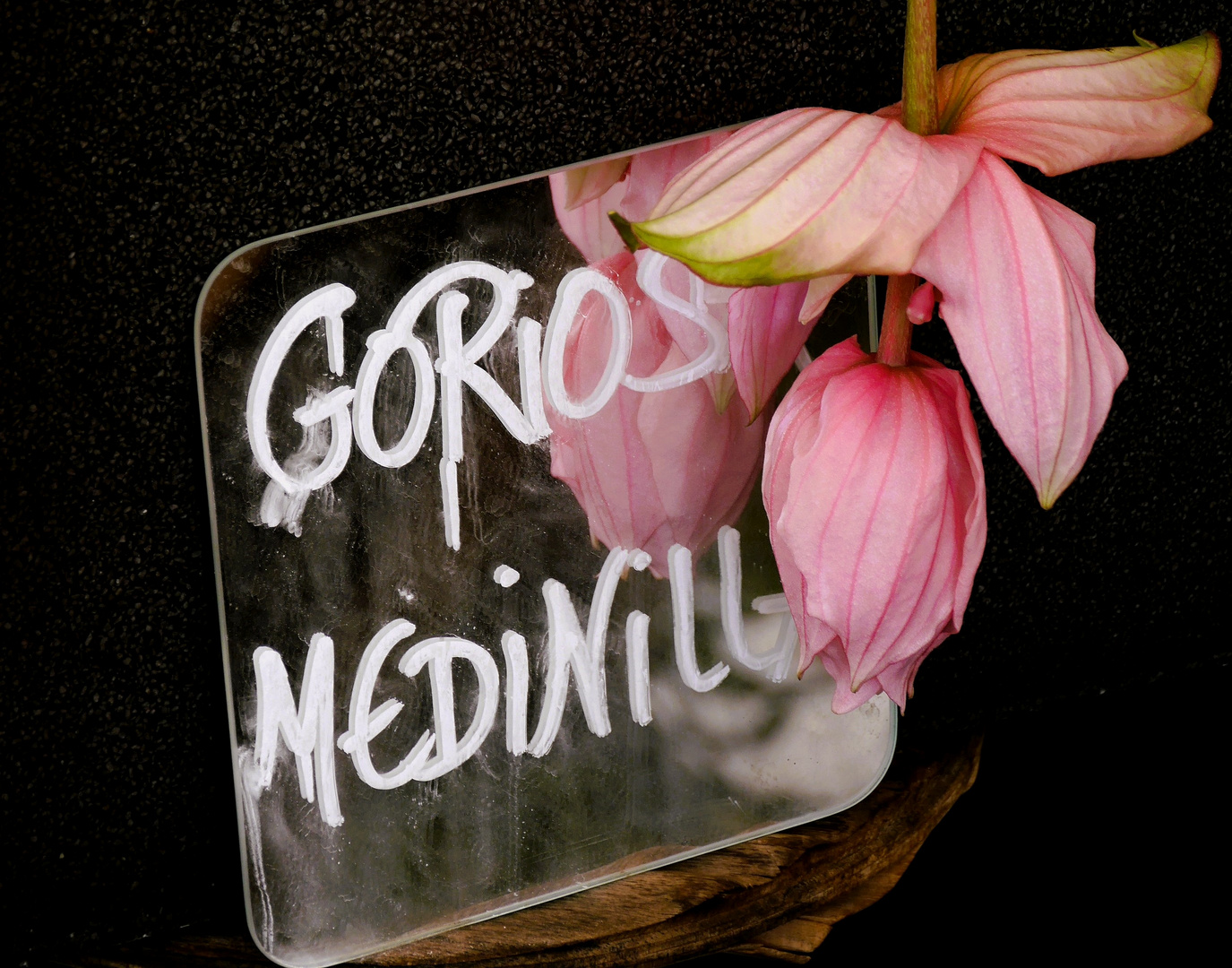 Gorios Medinilla