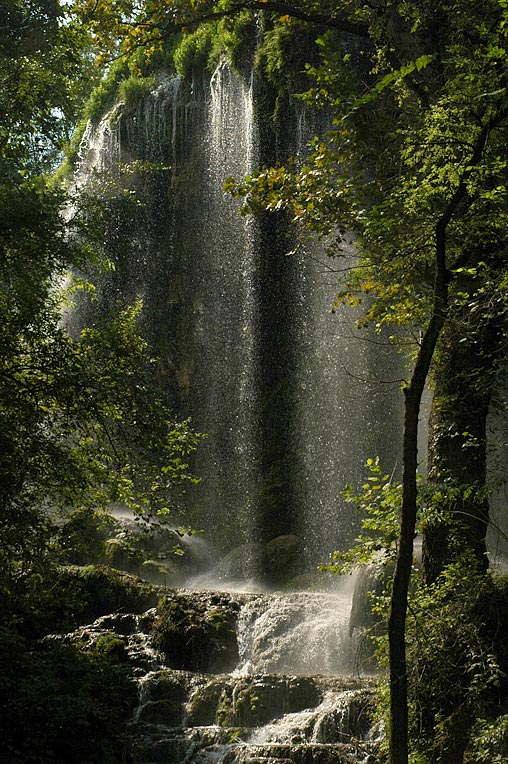 Gorman Falls I