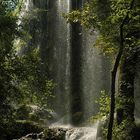 Gorman Falls I