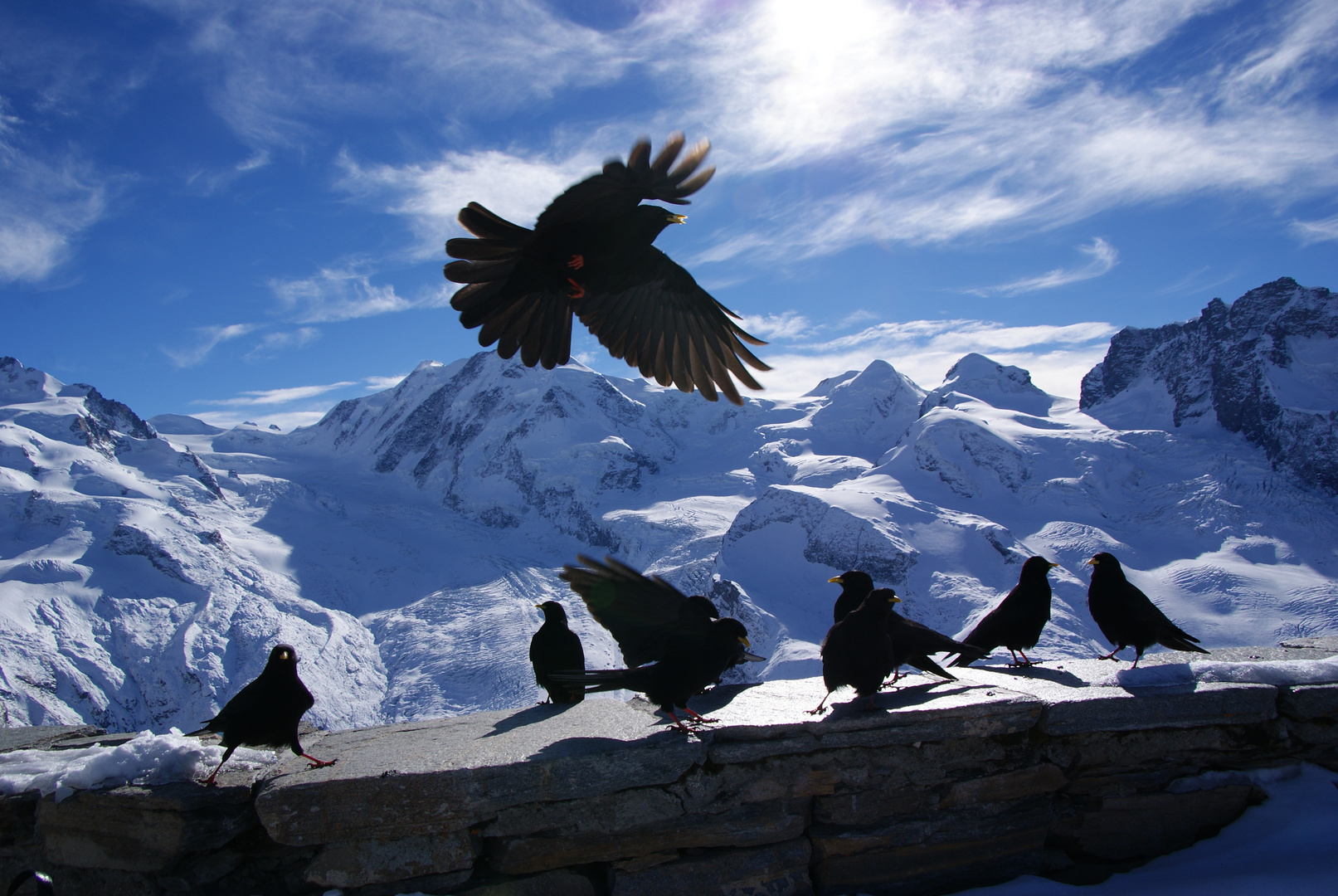 Gornergrad , Zermatt