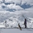 Gornergrat Bergwelt