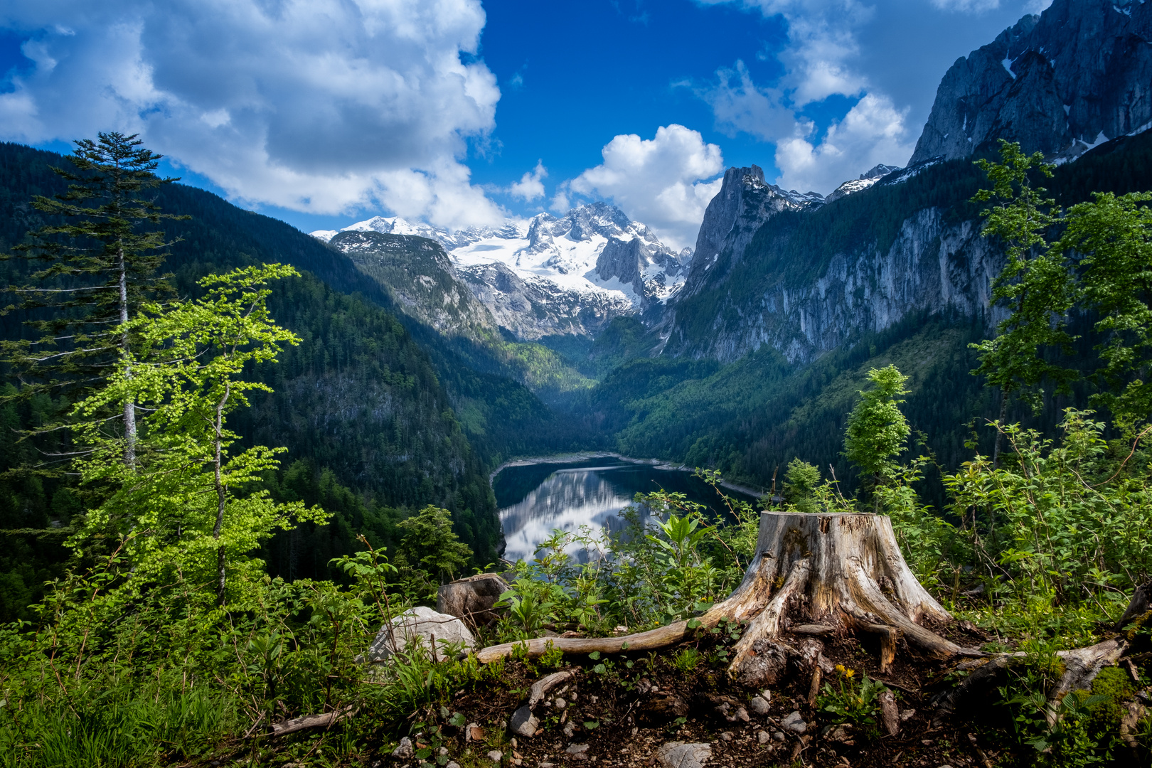 Gosausee einmal anders