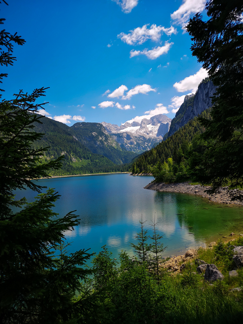 Gosausee mit Dachstein