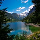 Gosausee mit Dachstein