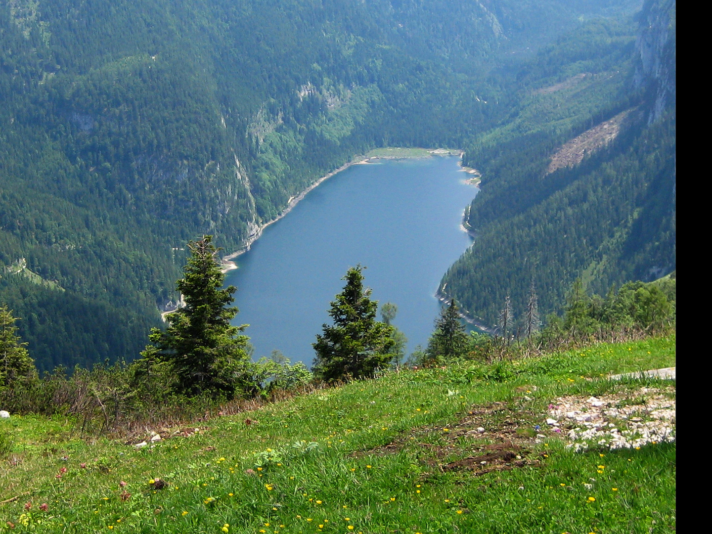 Gosausee von oben