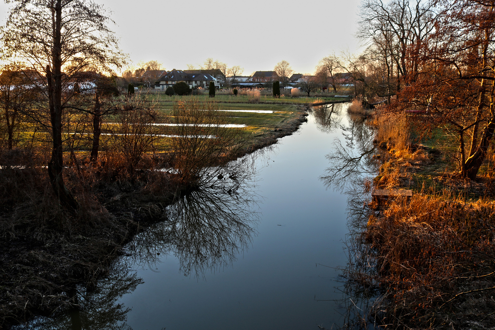 Gose Elbe - 2