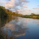 Gose-Elbe Hamburg