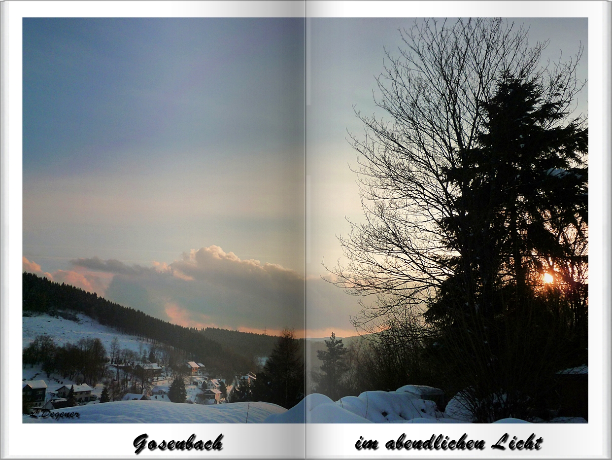 Gosenbach im abendlichen Licht