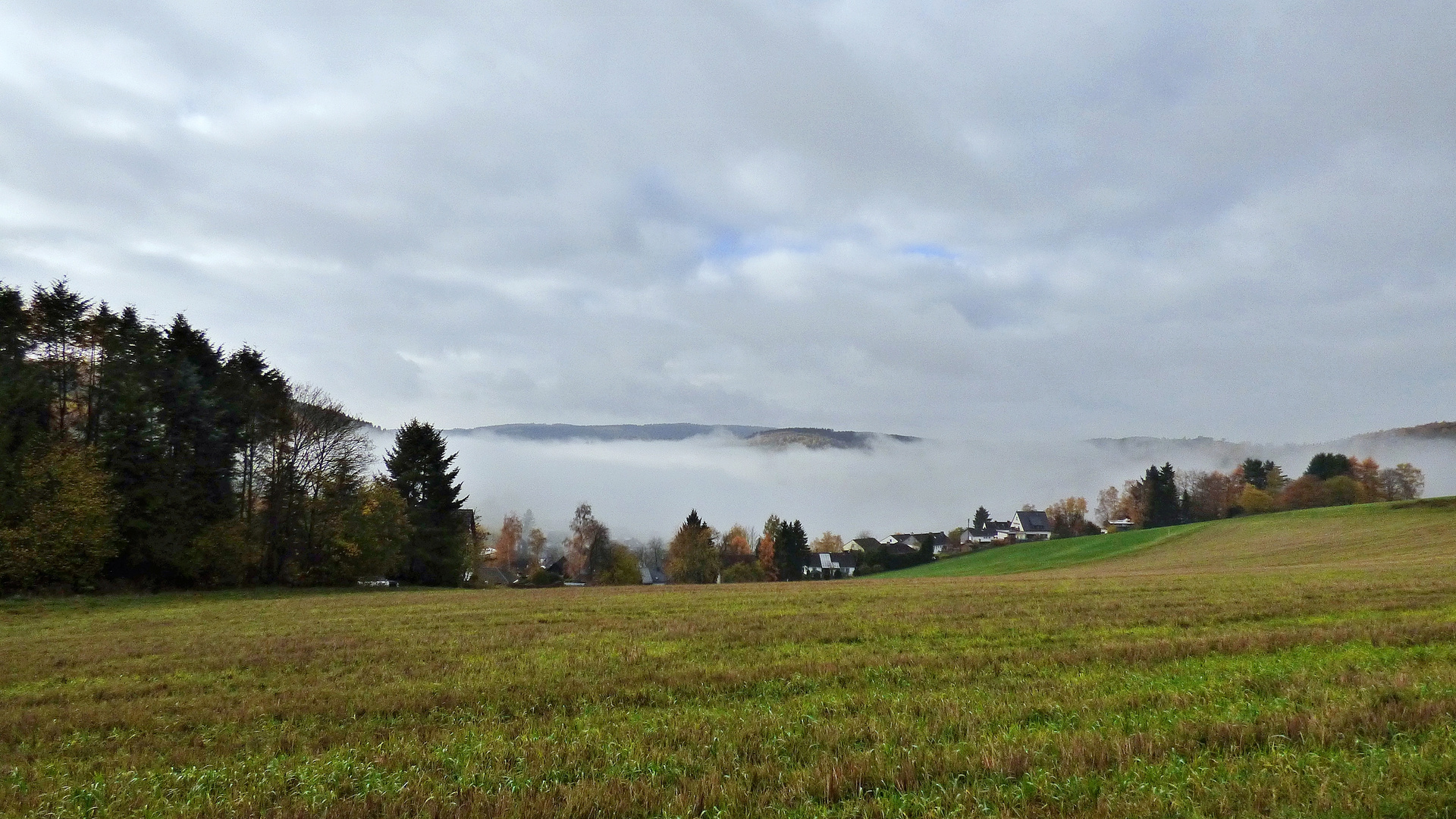 Gosenbach unter einer Nebeldecke