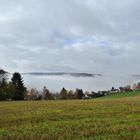 Gosenbach unter einer Nebeldecke