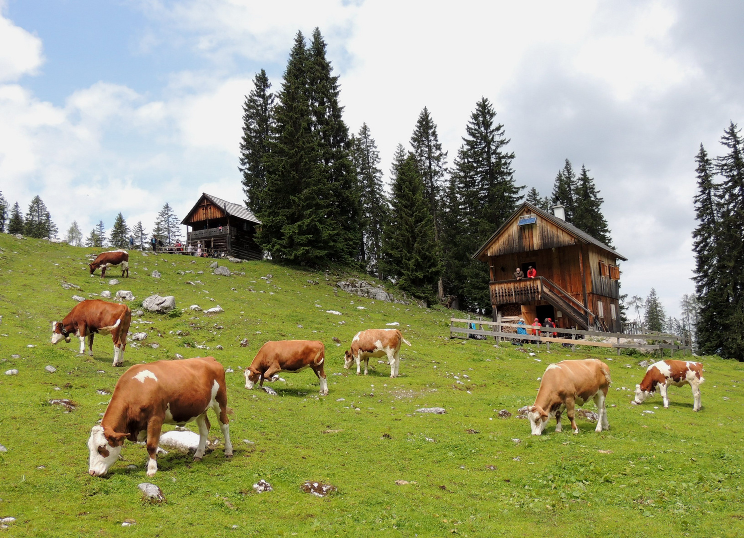 Goseritz Alm bei Kainisch im steirisches Salzkammergut