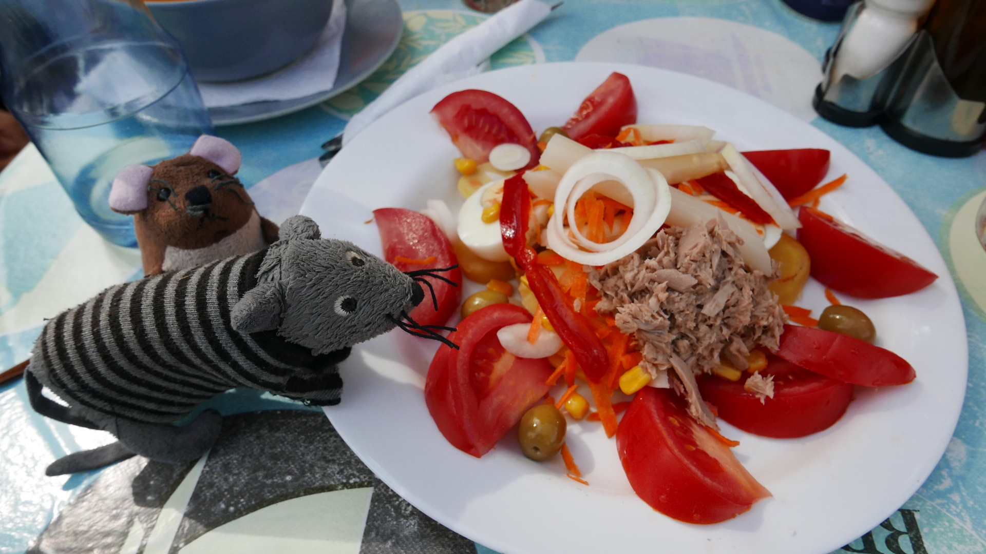 Gosig and Dr J Mouseman on the Camino Frances