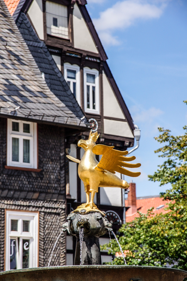 Goslar (16)
