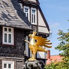 Goslar (16)