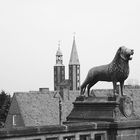 Goslar - der Löwe brüllt von der Kaiserpfalz