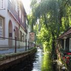 Goslar - Im Gegenlicht