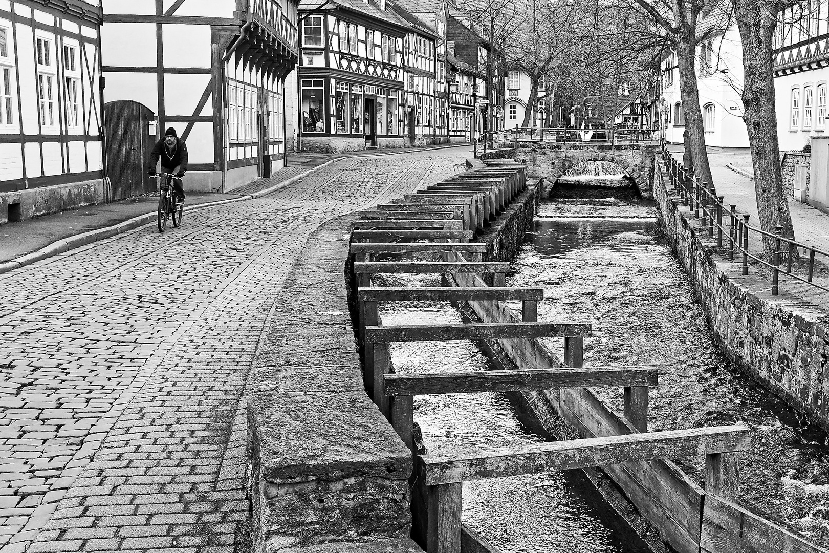 Goslar mit dem Flüsschen Anzucht