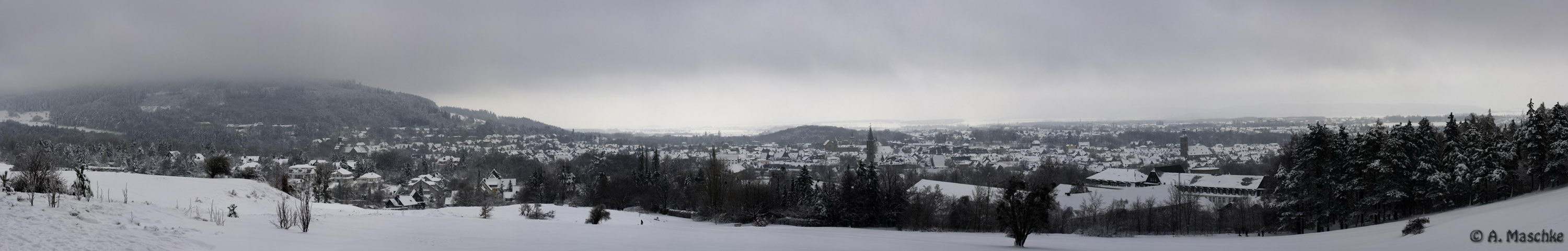 Goslar Panorama