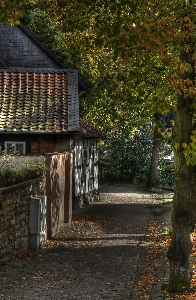 GosLar - Unter-Stadt " Herbstimpressionen am Frühenmorgen "