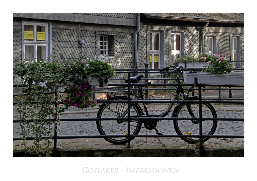 GosLarsche Impressionen " entlang der Abzucht "