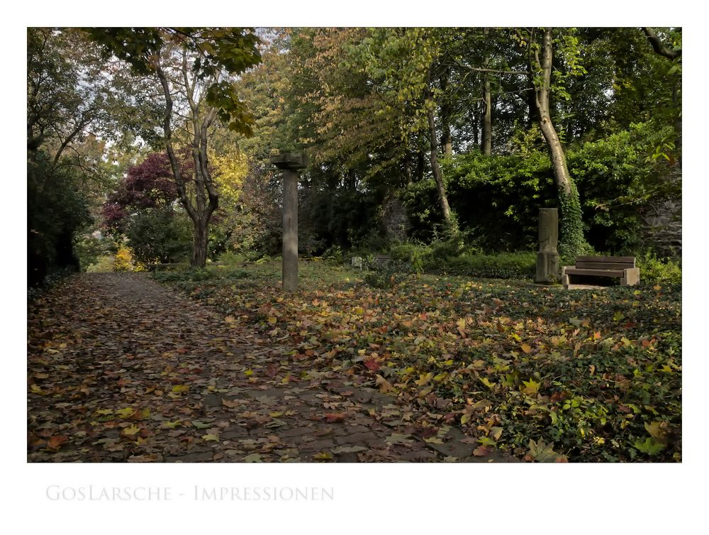 GosLarsche Impressionen " GosLar - Herbst-Impressionen im Pfalzgarten "