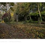 GosLarsche Impressionen " GosLar - Herbst-Impressionen im Pfalzgarten "