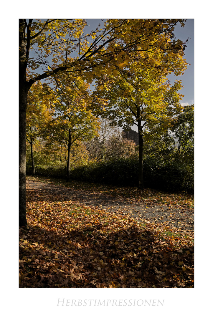 GosLarsche Impressionen " Herbst in der Kaiserstadt, mit Blick zum Teufelsturm "