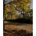 GosLarsche Impressionen " Herbst in der Kaiserstadt, mit Blick zum Teufelsturm "