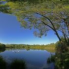 GOSSFELDEN 360°