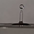 gota