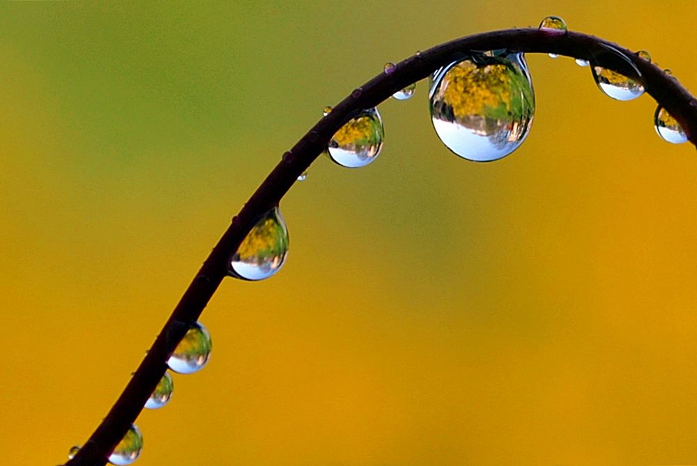 Gota a gota de Malenaban 