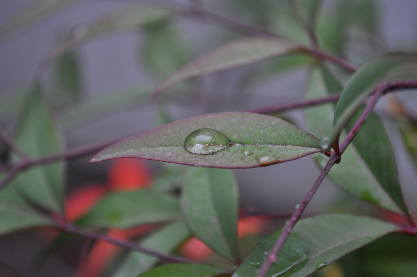 gota de agua