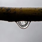 Gota de agua