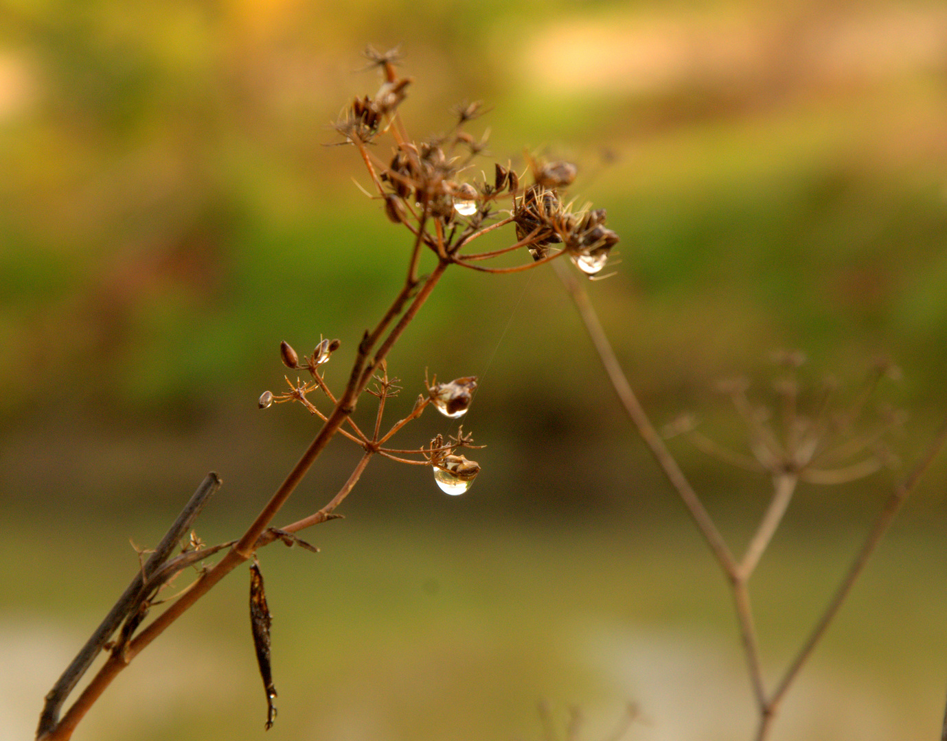 gota de agua