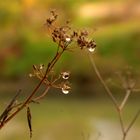 gota de agua