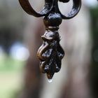 Gota de agua II