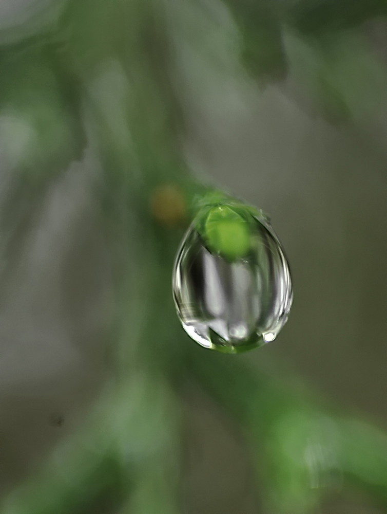 gota de lluvia