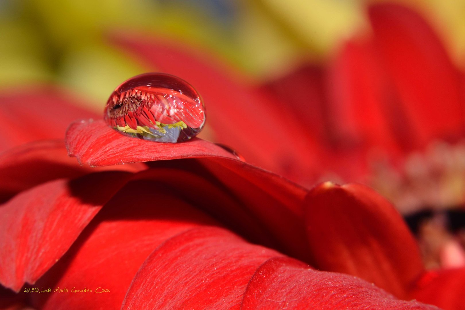 Gotas 1º