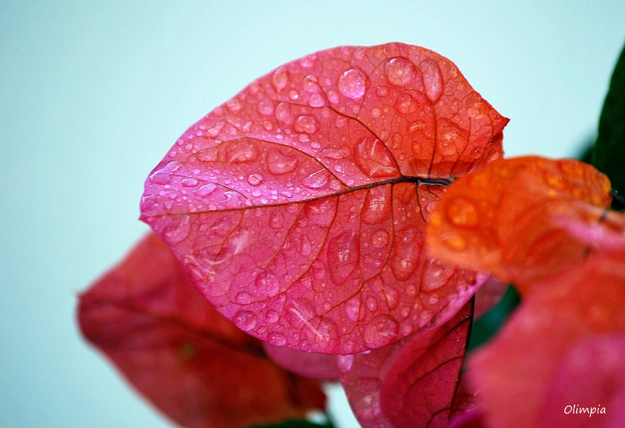 GOTAS DE AGUA ... 3