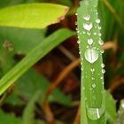 Gotas de agua