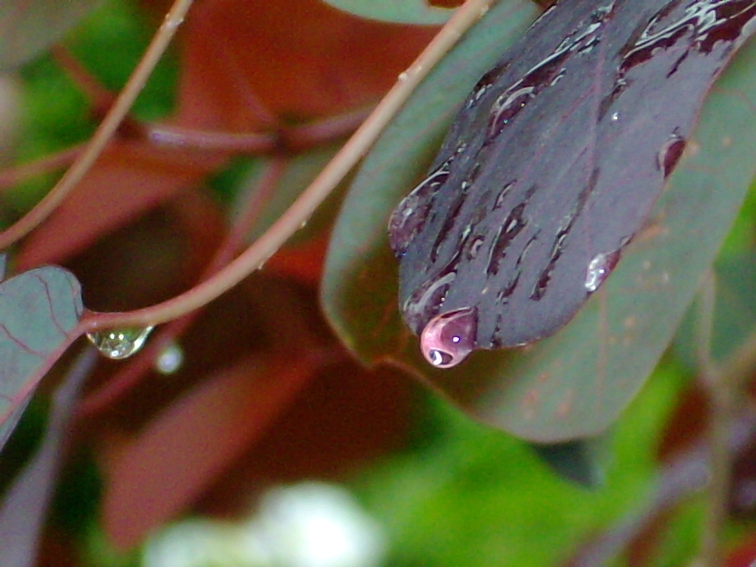 Gotas de agua II