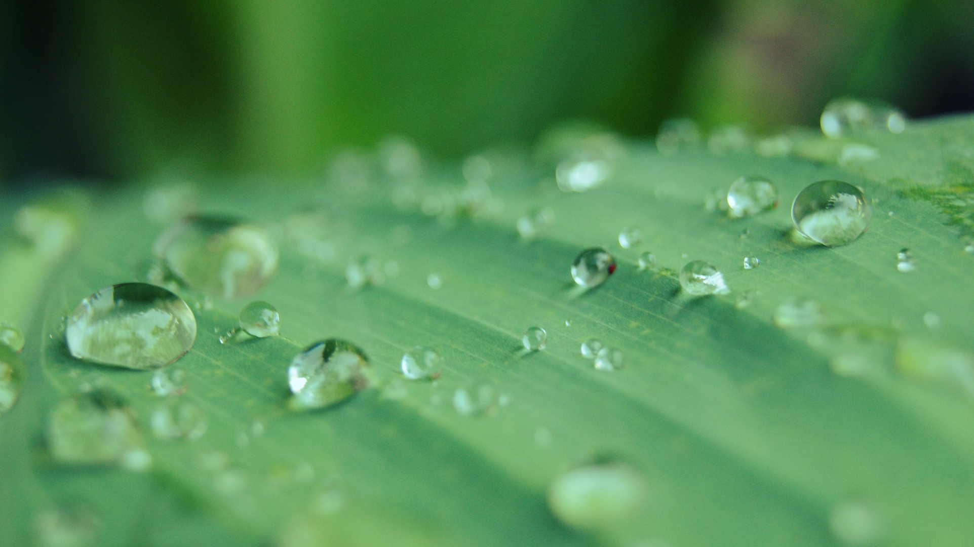 Gotas de esperanza