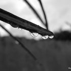 Gotas de Lluvia