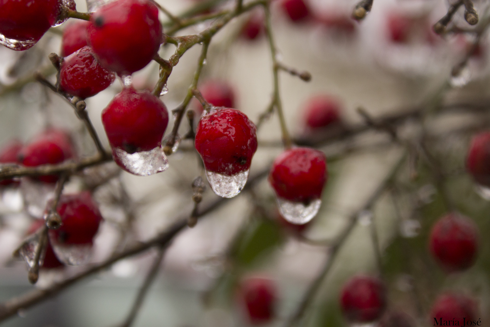 Gotas de lluvia