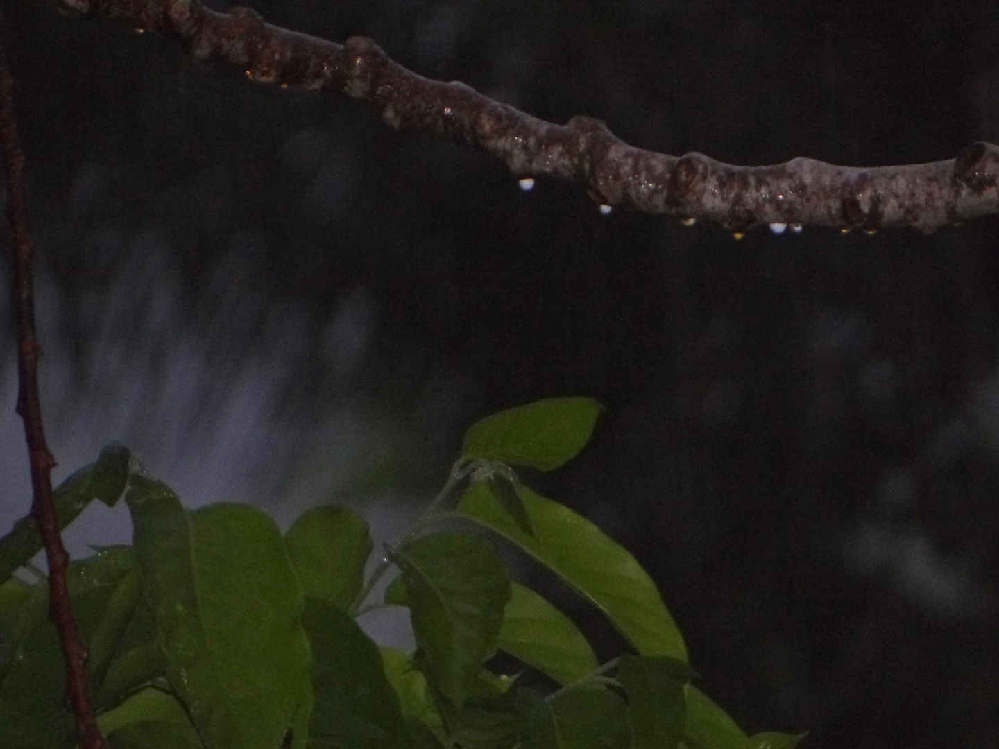 Gotas de lluvia al anochecér