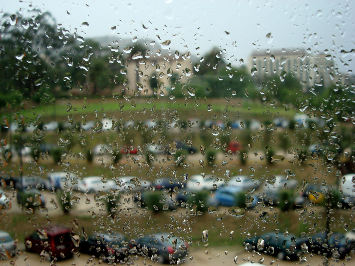 / Gotas de lluvia /