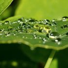 Gotas de lluvia.